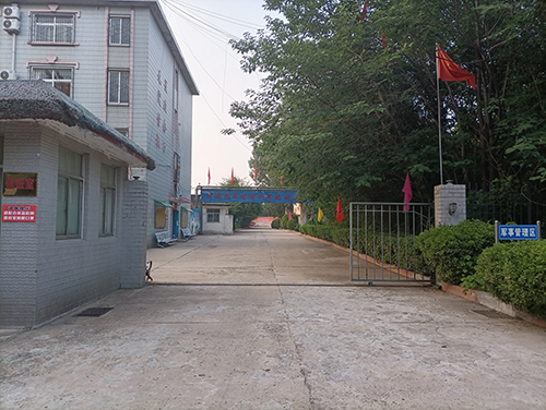 公司环境